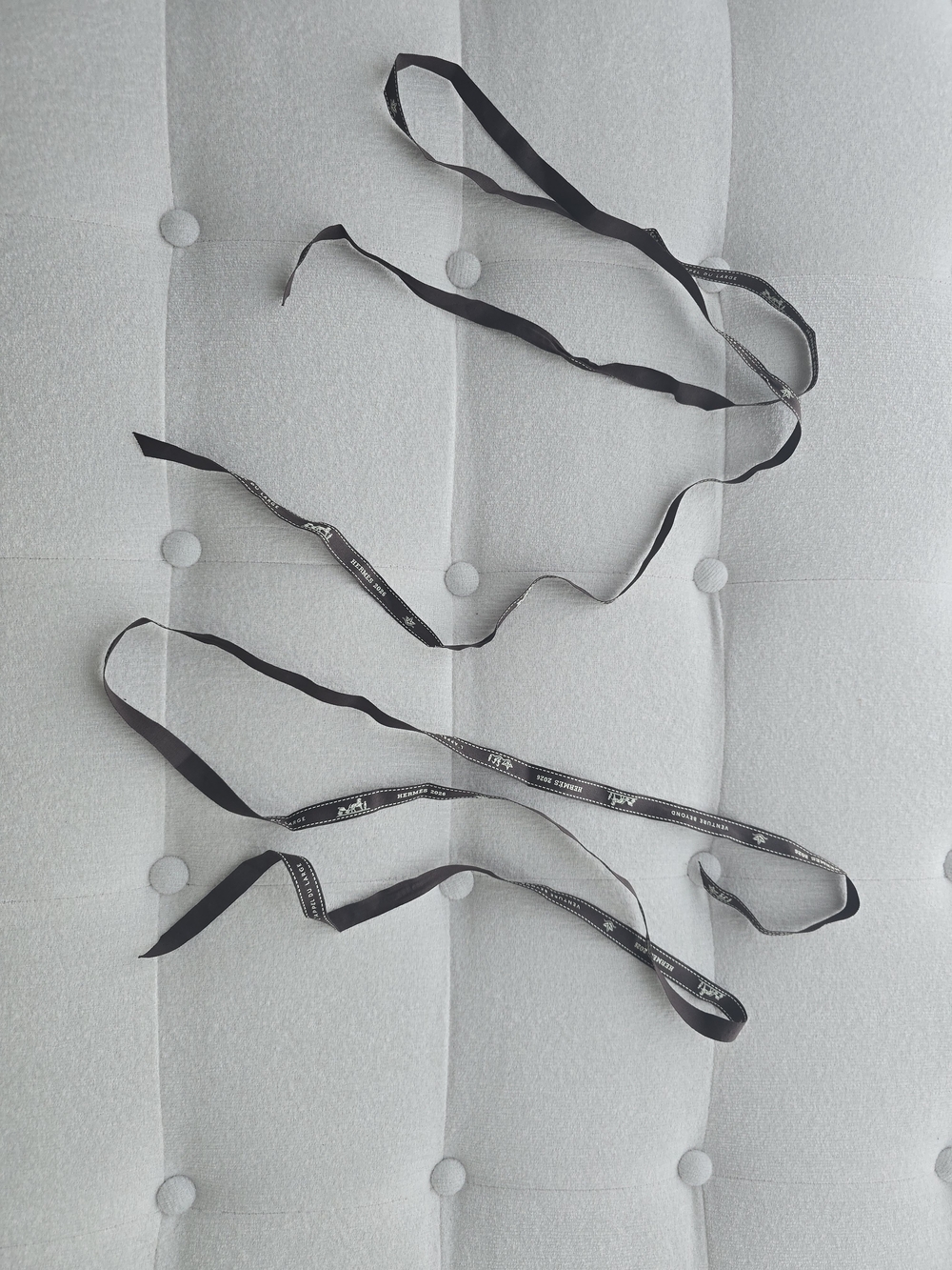 Hermes 2026 Ribbon - Picture 2 of 2